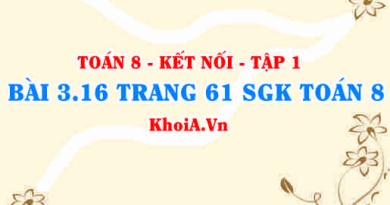 Bài 3.16 trang 61 SGK Toán 8 tập 1 Kết nối tri thức